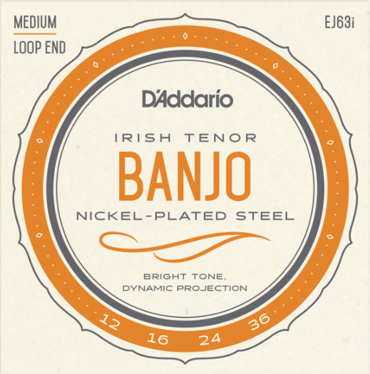 D'Addario EJ63I Nickel Wound 4-String Irish Tenor Banjo Strings (12-36)
