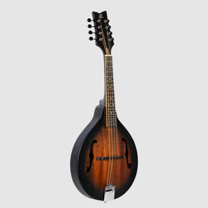 Ortega RMA5VS Mandolin - Vintage Sunburst